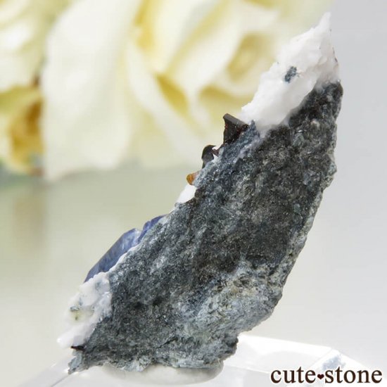 ե˥ ٥˥ȥȡͥץʥȤդ뾽ʸС1.8gμ̿1 cute stone