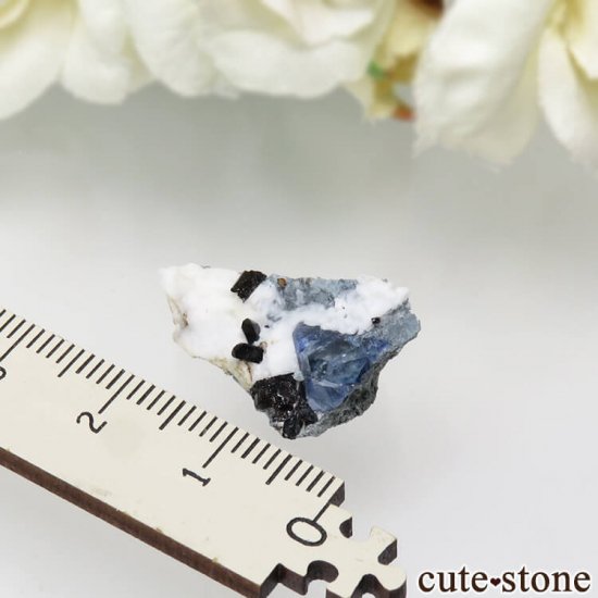 ե˥ ٥˥ȥȡͥץʥȤդ뾽ʸС1.8gμ̿5 cute stone