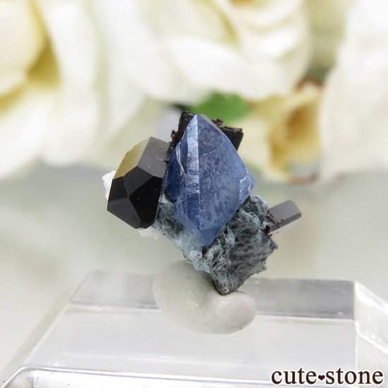 ե˥ ٥˥ȥȡͥץʥȤդ뾽ʸС0.4gμ̿0 cute stone