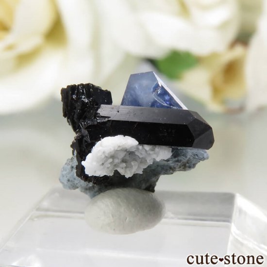 ե˥ ٥˥ȥȡͥץʥȤդ뾽ʸС0.4gμ̿1 cute stone