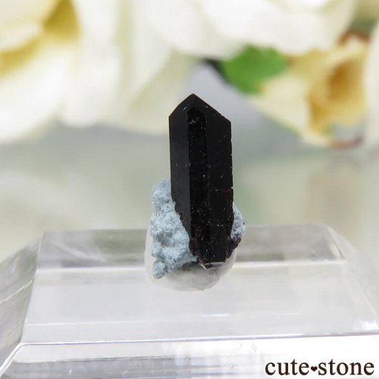 カリフォルニア産 ネプチュナイトの母岩付き結晶 原石 0 4ct Cute Stone