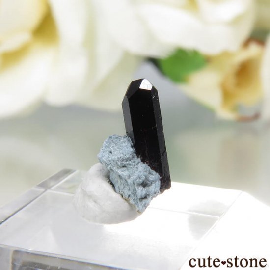 ե˥ ͥץʥȤդ뾽ʸС 0.4ctμ̿0 cute stone