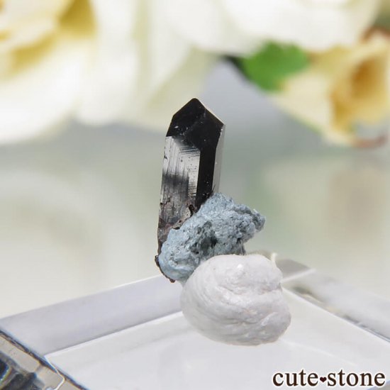 ե˥ ͥץʥȤդ뾽ʸС 0.4ctμ̿1 cute stone