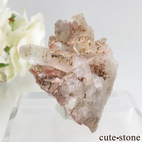 եꥫ ۥȥ󥯥Ĥη뾽ʸС33.9gμ̿0 cute stone