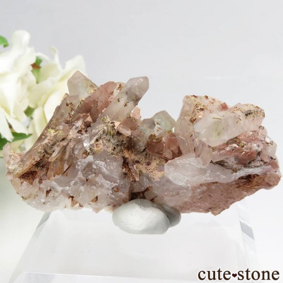 եꥫ ۥȥ󥯥Ĥη뾽ʸС33.9gμ̿1 cute stone