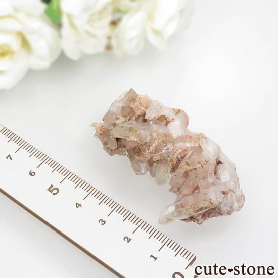 եꥫ ۥȥ󥯥Ĥη뾽ʸС33.9gμ̿6 cute stone