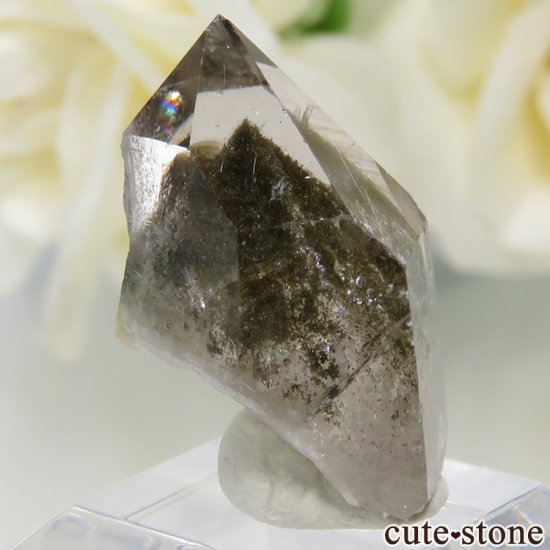 ե ץ(Les Deux Alpes) եȥ९Ĥη뾽 3gμ̿0 cute stone