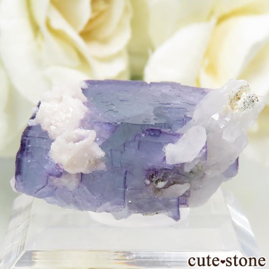 䥪󥷥 ֥롼ե饤ȡ 10.3gμ̿1 cute stone