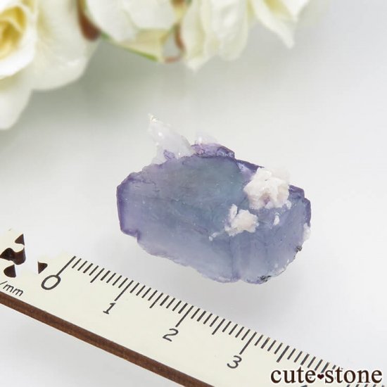 䥪󥷥 ֥롼ե饤ȡ 10.3gμ̿3 cute stone