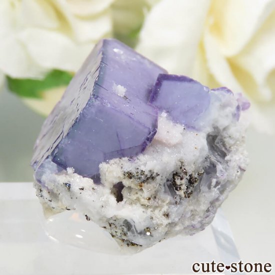 䥪󥷥 ֥롼ե饤ȡ륳ѥ饤 11.8gμ̿2 cute stone