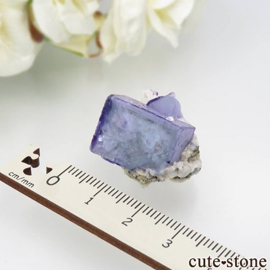 䥪󥷥 ֥롼ե饤ȡ륳ѥ饤 11.8gμ̿3 cute stone