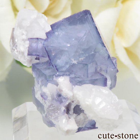 䥪󥷥 ֥롼ե饤ȡ 13.6gμ̿0 cute stone
