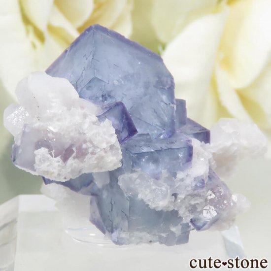 䥪󥷥 ֥롼ե饤ȡ 13.6gμ̿1 cute stone