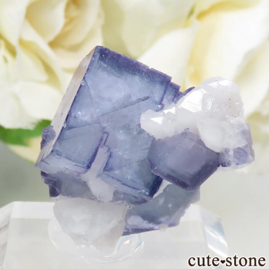 䥪󥷥 ֥롼ե饤ȡ 13.6gμ̿2 cute stone