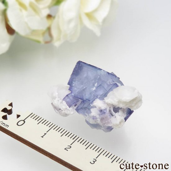 䥪󥷥 ֥롼ե饤ȡ 13.6gμ̿3 cute stone