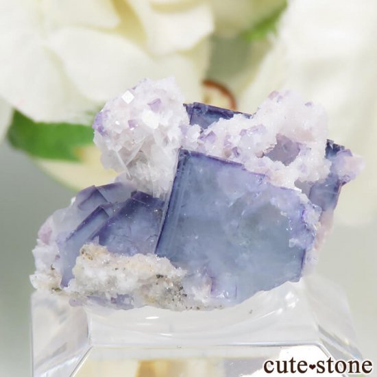 䥪󥷥 ֥롼ե饤 5.9gμ̿0 cute stone