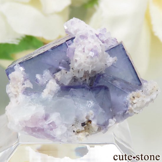 䥪󥷥 ֥롼ե饤 5.9gμ̿1 cute stone