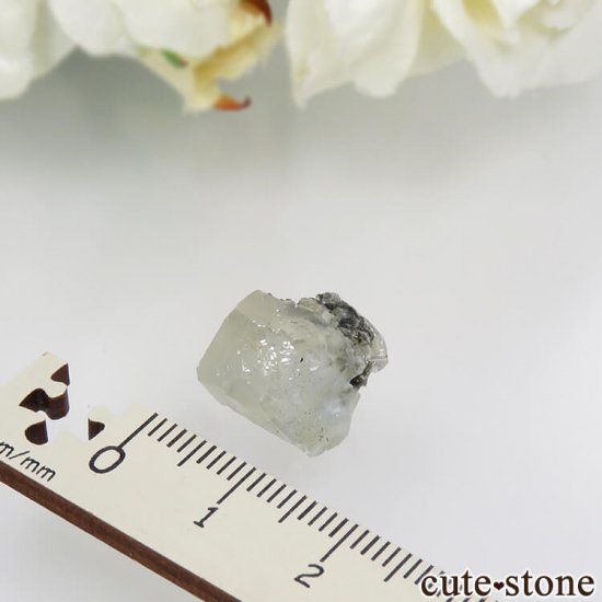 ɻ եʥȤñη뾽ʸС 2.5gμ̿3 cute stone