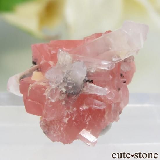  ȥۡ Blue Moon Pocket ɥȡĤθ 1.9gμ̿1 cute stone