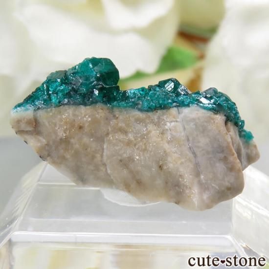 ե󻺤Υץơդ뾽ʸС1.2gμ̿0 cute stone