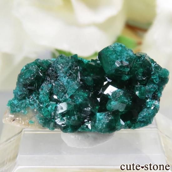 ե󻺤Υץơդ뾽ʸС1.2gμ̿1 cute stone