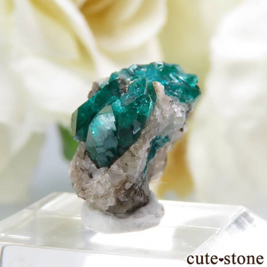 ե󻺤Υץơդ뾽ʸС0.8gμ̿1 cute stone