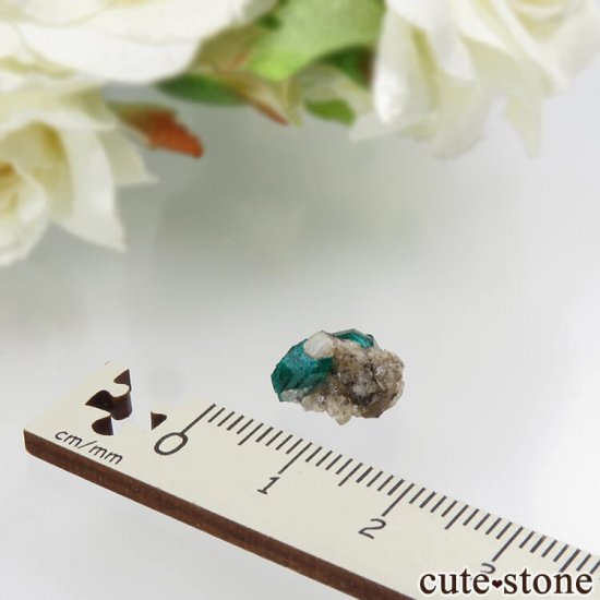 ե󻺤Υץơդ뾽ʸС0.8gμ̿2 cute stone