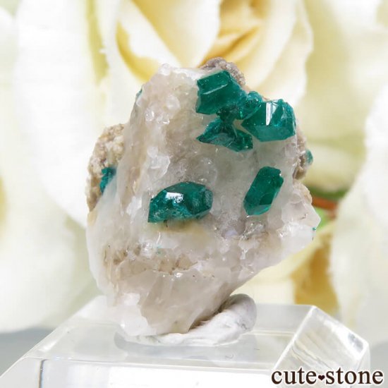 ե󻺤Υץơդ뾽ʸС2.3gμ̿0 cute stone