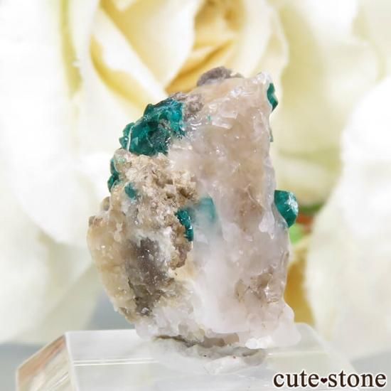 ե󻺤Υץơդ뾽ʸС2.3gμ̿1 cute stone