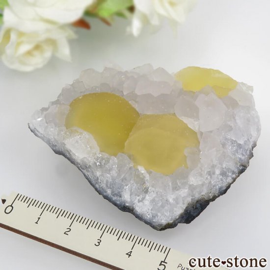ɻ Υե饤ȡĤθ 102gμ̿5 cute stone