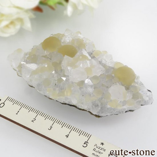 ɻ Υե饤ȡĤθ 74.9gμ̿5 cute stone