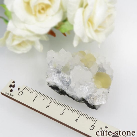ɻ Υե饤ȡĤθ 34gμ̿4 cute stone