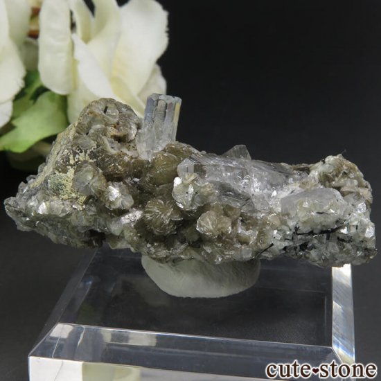パキスタン Chumar Bakhoor産 アクアマリン＆モスコバイト＆クォーツの結晶（原石） 23gの写真1 cute stone