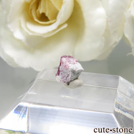 ꥫ 楿 åɥ٥η뾽 0.4ctμ̿1 cute stone