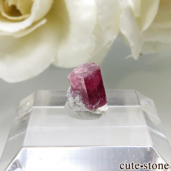 ꥫ 楿 åɥ٥η뾽 0.8ctμ̿0 cute stone