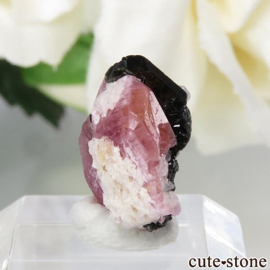 ڥĥåȡʥ饺٥ˡȥޥĤη뾽ʸС 1.1gμ̿0 cute stone
