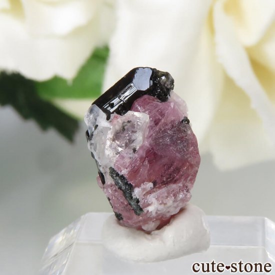 ڥĥåȡʥ饺٥ˡȥޥĤη뾽ʸС 1.1gμ̿2 cute stone