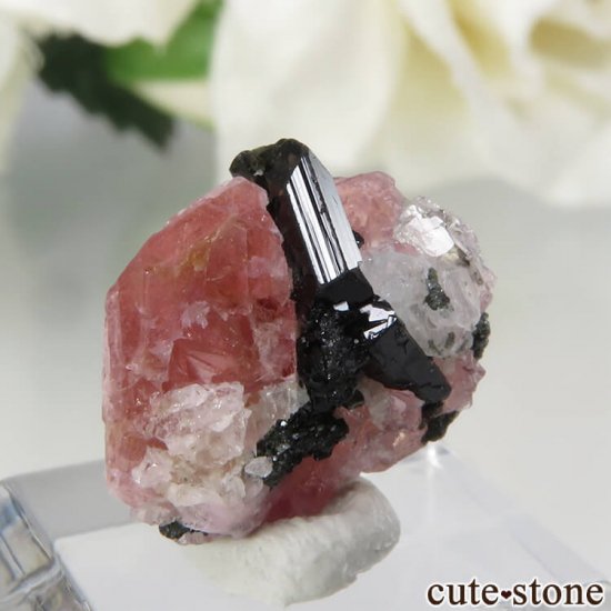 ڥĥåȡʥ饺٥ˡȥޥĤη뾽ʸС 1.1gμ̿3 cute stone