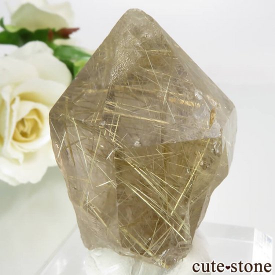 ֥饸 Х 륤󥯥ķ뾽ʸС 36.1gμ̿0 cute stone