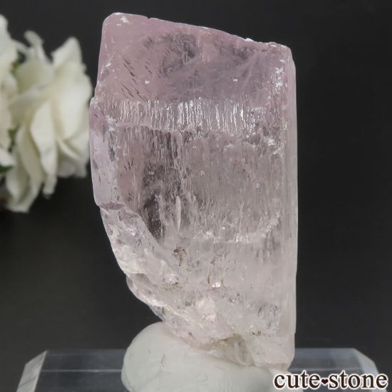 ե˥ ĥ (ݥ󡦥) η뾽() 56.6gμ̿0 cute stone