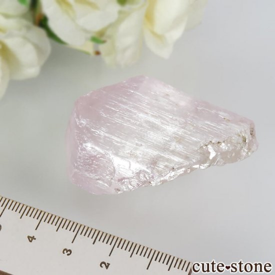ե˥ ĥ (ݥ󡦥) η뾽() 56.6gμ̿4 cute stone