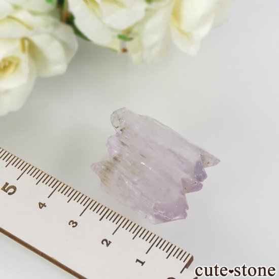 ե˥ ĥ (ݥ󡦥) η뾽() 14.7gμ̿3 cute stone