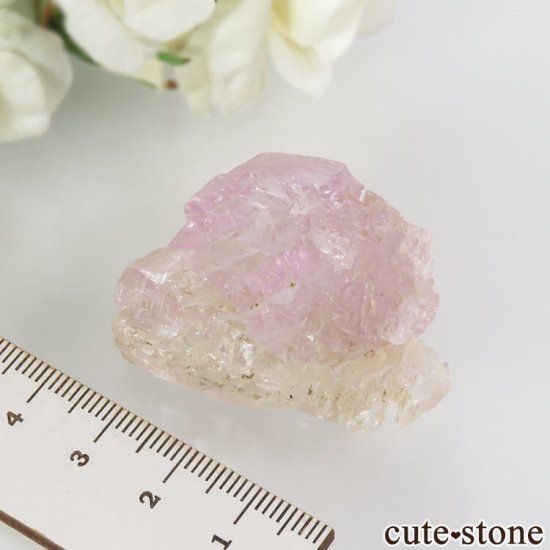 ֥饸뻺 å()ĥ (ݥ󡦥) η뾽() 25gμ̿5 cute stone