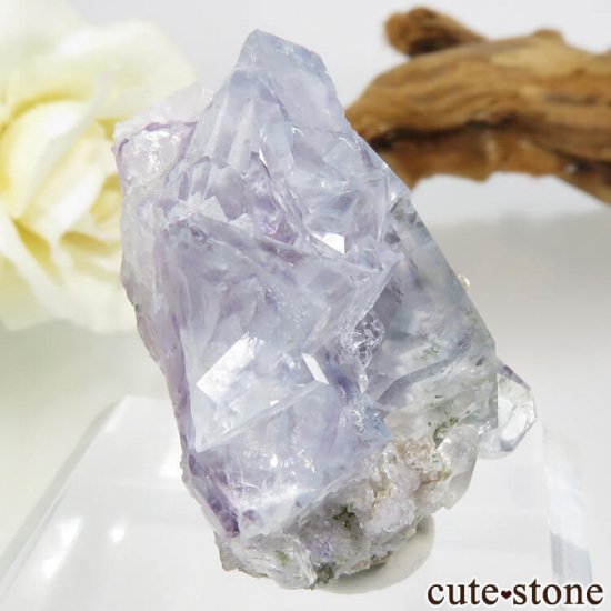 䥪󥷥 ֥롼ե饤ȡ 24.6gμ̿0 cute stone