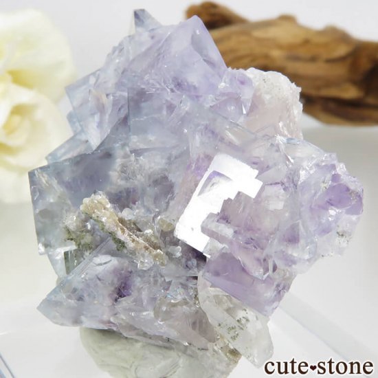 䥪󥷥 ֥롼ե饤ȡ 24.6gμ̿2 cute stone