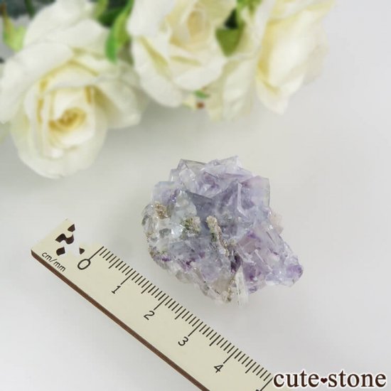 䥪󥷥 ֥롼ե饤ȡ 24.6gμ̿4 cute stone