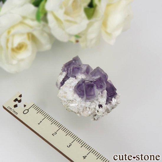 䥪󥷥 ѡץե饤 21.3gμ̿3 cute stone