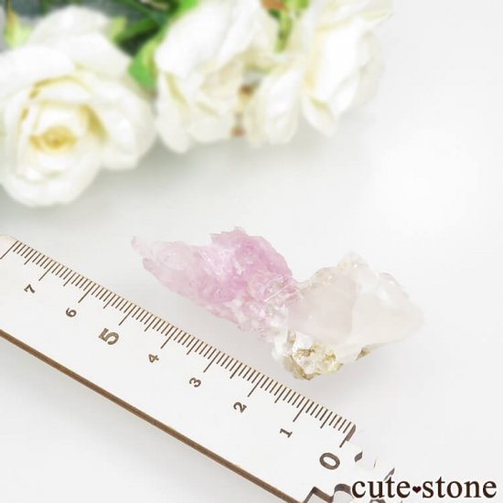 ֥饸 ߥʥ饤 Ĥη뾽 21.7gμ̿4 cute stone