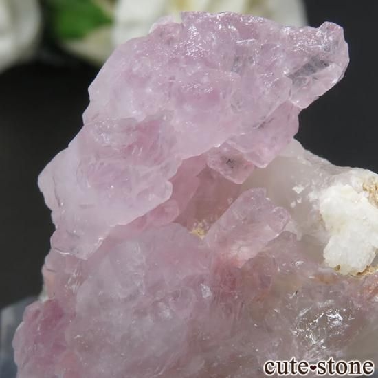 ֥饸 ߥʥ饤 Ĥη뾽 47.7gμ̿3 cute stone