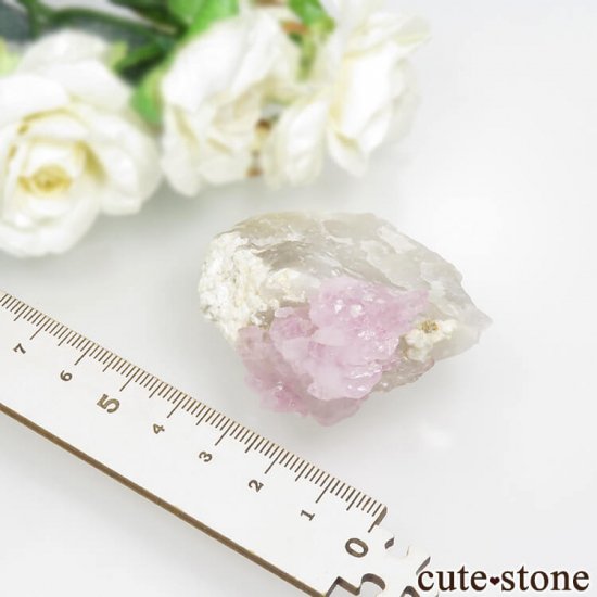 ֥饸 ߥʥ饤 Ĥη뾽 47.7gμ̿6 cute stone